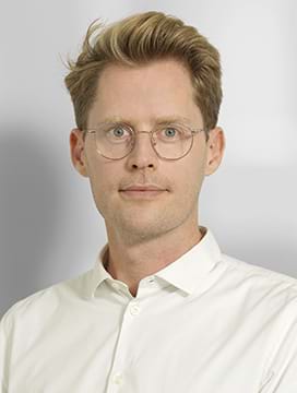 Søren Kjærsgaard Høfler, Chefkonsulent