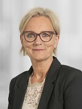 Anne Birgitte Lindholm, Seniorchefkonsulent