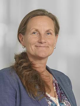 Christina Pedersen, Konsulent