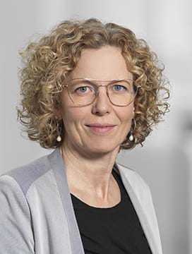 Lina Maria Johnsson, Chefkonsulent
