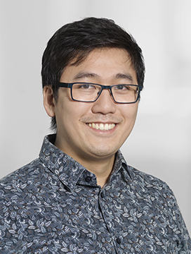Dennis Thinh Tan Nguyen, IT-udvikler