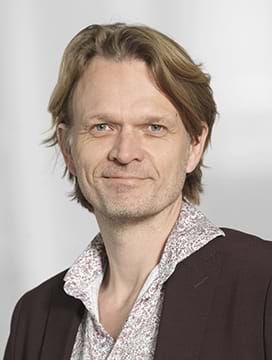 Jesper Friis, Seniorchefkonsulent