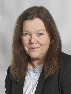 Hanne Lindberg Greisen, Seniorchefkonsulent, advokat