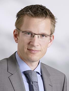 Lars Hammer, Seniorchefkonsulent