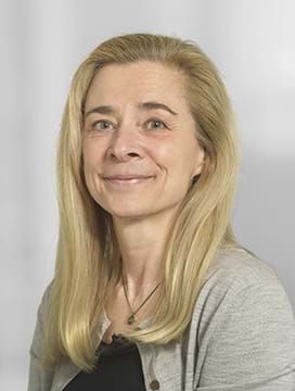 Lene Nielsen, Chefkonsulent